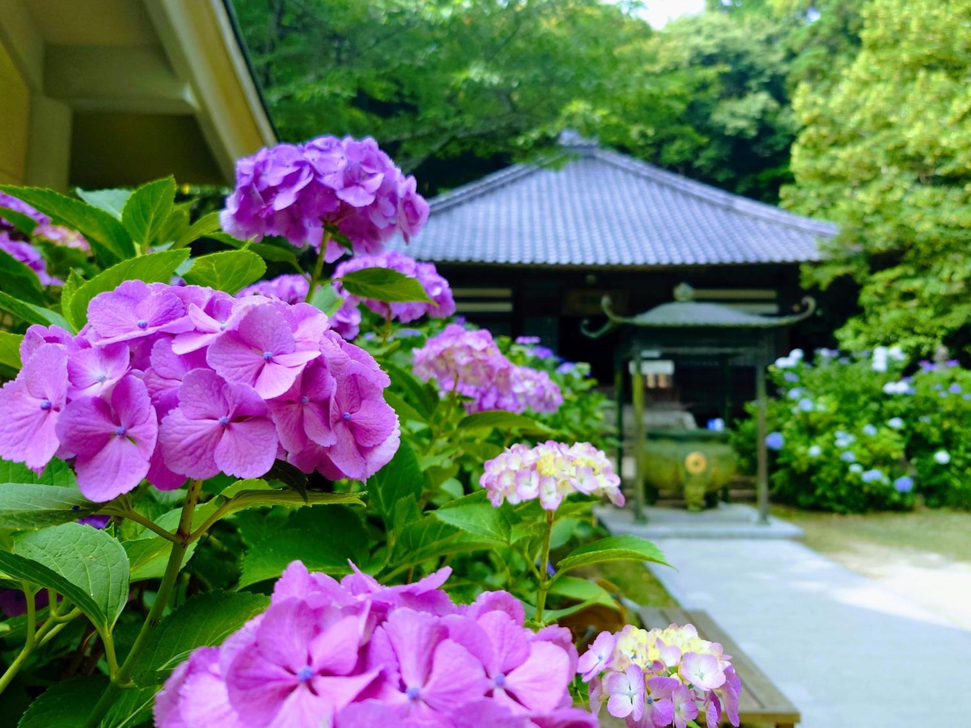 Apa Hotel Yamaguchi Hofu Exterior photo